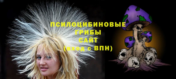 Альфа ПВП Беломорск