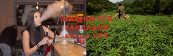 Альфа ПВП Беломорск